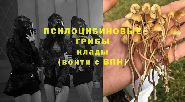 ALPHA PVP Гусиноозёрск