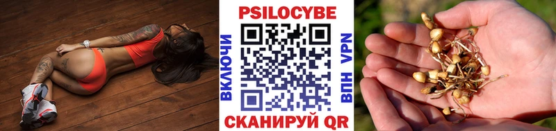Галлюциногенные грибы Cubensis  как найти   Духовщина 